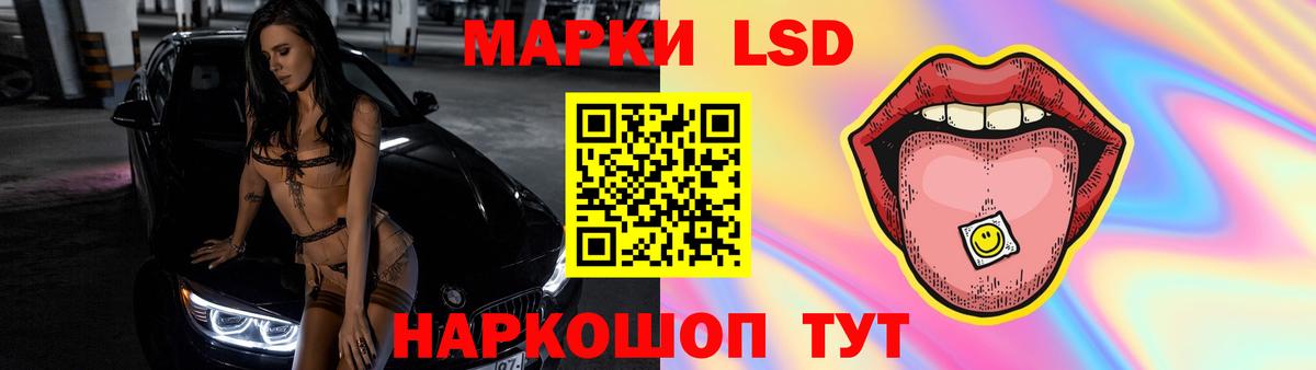 Шелехов  ЛСД экстази ecstasy  Лсд 25 экстази ecstasy  Вход с VPN 