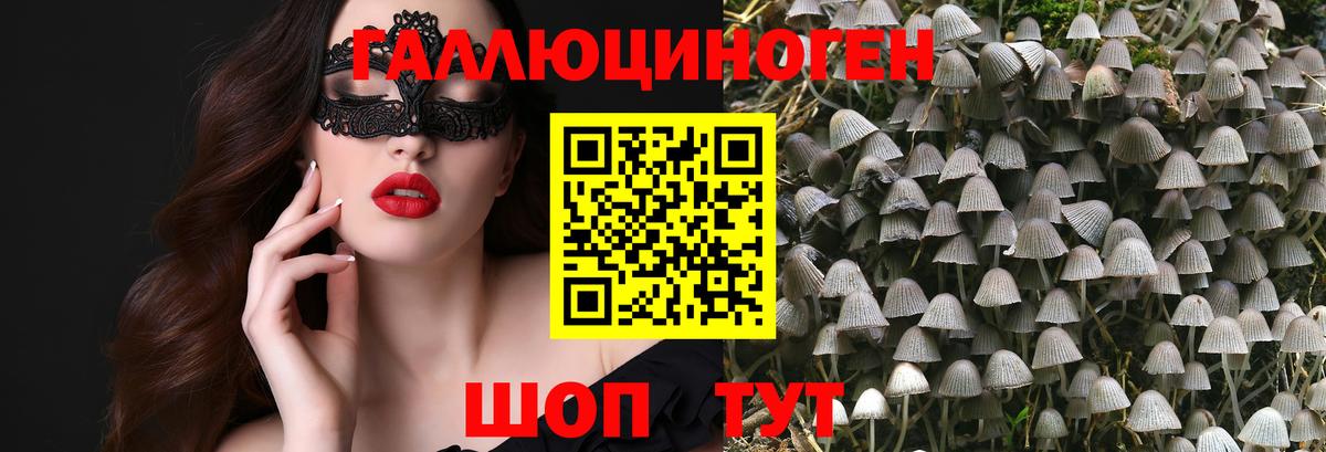 Шелехов  Галлюциногенные грибы прущие грибы  Вход с VPN  Псилоцибиновые грибы GOLDEN TEACHER 